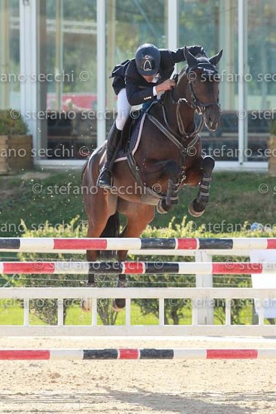 MARTINENGO_RENETTA_GIO CAV 2011_(1285) SS3_2576.jpg